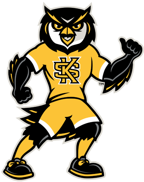Kennesaw State Owls 2012-Pres Mascot Logo t shirts DIY iron ons